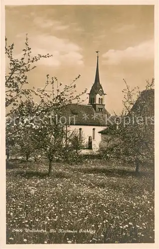 AK / Ansichtskarte Wollishofen_ZH Kirche im Fruehling 