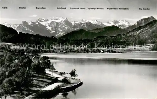 AK / Ansichtskarte Aegerisee_ZG Blick in die Hochalpen 