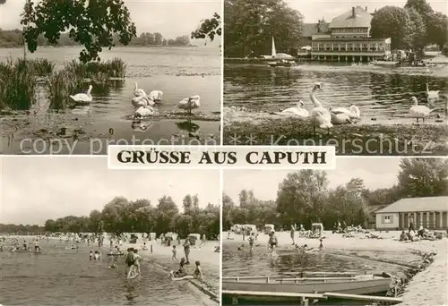 AK / Ansichtskarte Caputh Schwanenteich Hotel Strandpartien Caputh