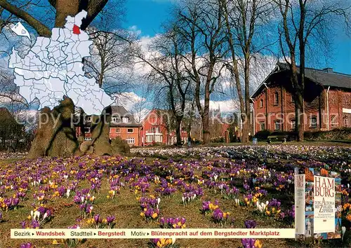 AK / Ansichtskarte Hamburg Wandsbek Bergstedt Bluetenpracht a.d. Bergstedter Marktplatz Hamburg