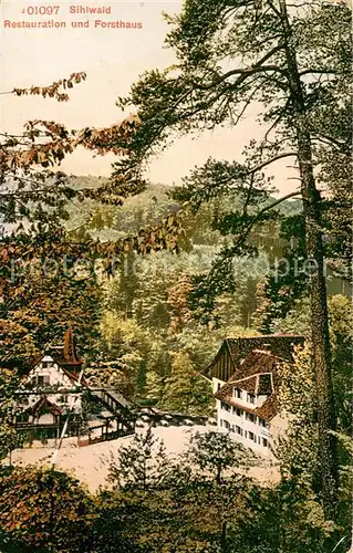 AK / Ansichtskarte Sihlwald_ZH Restauration und Forsthaus 