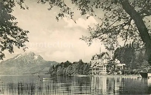 AK / Ansichtskarte Hertenstein_Vierwaldstaettersee mit Schloss und Pilatus 