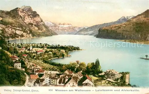 AK / Ansichtskarte Weesen__Walensee_SG Panorama mit Leistkamm und Alvierkette 