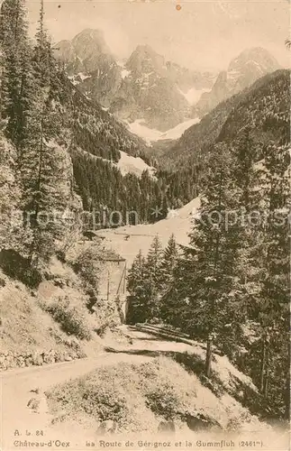 AK / Ansichtskarte Chateau d_Oex La Route de Gerignoz et la Gummfluh Chateau d Oex