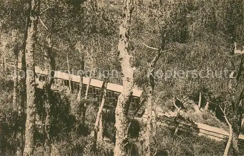 AK / Ansichtskarte Barcelona_Cataluna Pinar Barcelona Cataluna