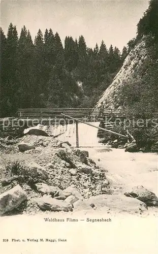 AK / Ansichtskarte Flims_Waldhaus Segnesbach Flims Waldhaus