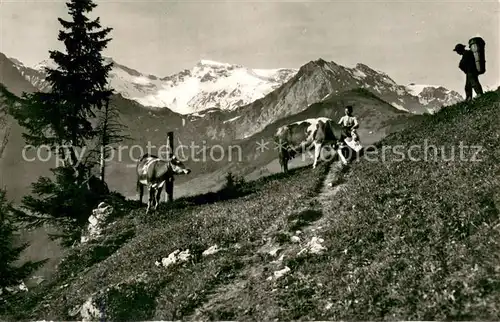 AK / Ansichtskarte Adelboden mit Wildstrubel und Fizer Adelboden