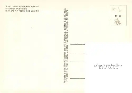 AK / Ansichtskarte Wildemann Blick ins Spiegeltal und Sanickel Wildemann