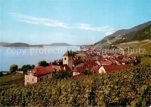 AK / Ansichtskarte Twann Panorama mit Bielersee Twann