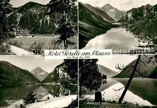 AK / Ansichtskarte Plansee Hotel Forelle Heiterwangersee Planseepartien Plansee