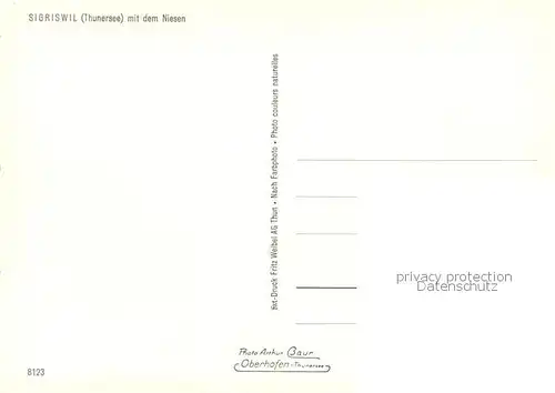AK / Ansichtskarte Sigriswil_BE mit dem Niesen 