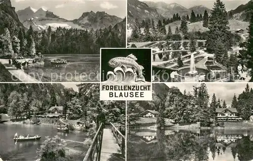 AK / Ansichtskarte Blausee Mitholz_BE Teilansichten Forellenzucht Blausee 