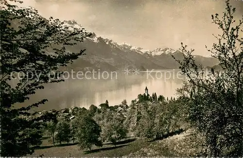 AK / Ansichtskarte Brienz_Brienzersee Panorama Brienz Brienzersee