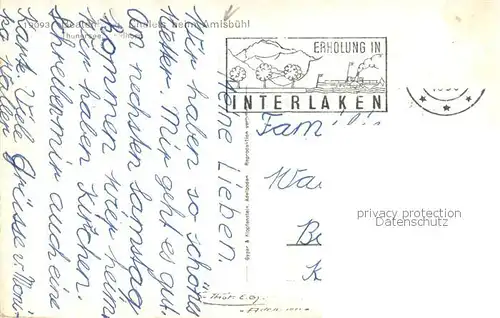 AK / Ansichtskarte Beatenberg_Thunersee_BE Chalets beim Amisbuehl  