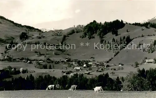 AK / Ansichtskarte Diemtigen_BE Panorama 