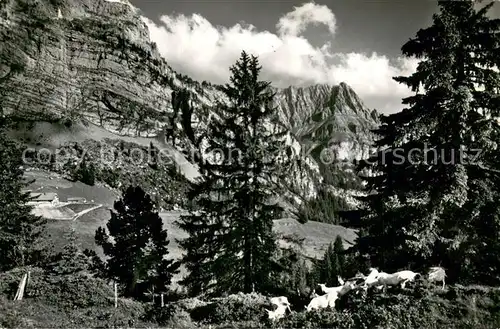 AK / Ansichtskarte Schwenden_Diemtigtal Grimmialp Schwenden Diemtigtal