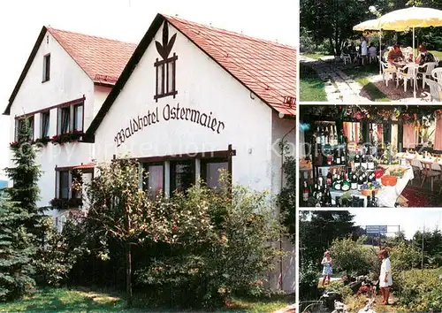 AK / Ansichtskarte Helmbrechts_Oberfranken Waldgasthof Hotel Ostermaier Helmbrechts Oberfranken