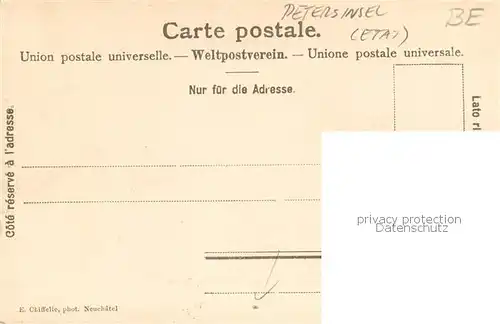 AK / Ansichtskarte Erlach_Bielersee_BE Fliegeraufnahme mit St Peterinsel 