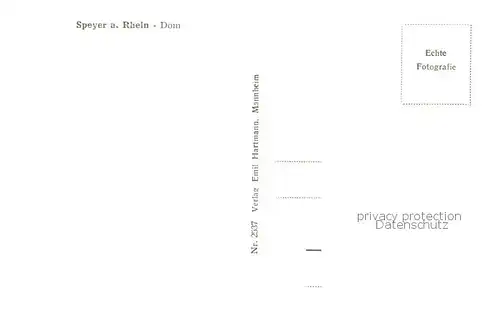 AK / Ansichtskarte Speyer_Rhein Dom Speyer Rhein