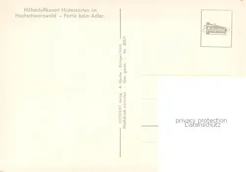 AK / Ansichtskarte Hinterzarten Partie am Adler Hinterzarten