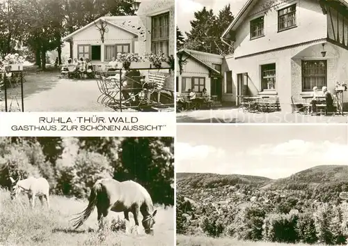 AK / Ansichtskarte Ruhla Gasthaus Zur schoenen Aussicht Panorama Pferd und Esel Ruhla