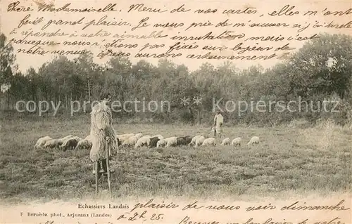 AK / Ansichtskarte Landwirtschaft Echassiers Landais 