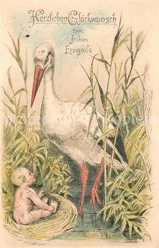 AK / Ansichtskarte Storch Glueckwunsch zum frohen Ereignis 