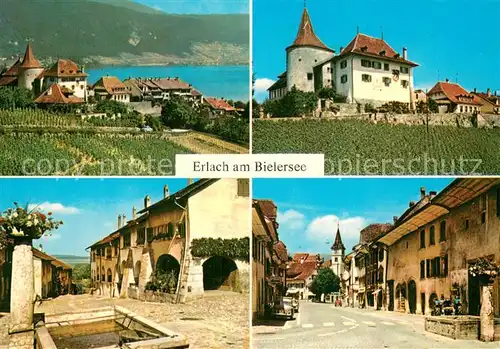 AK / Ansichtskarte Erlach_Bielersee_BE Panorama Kirche Schloss Dorfmotive 