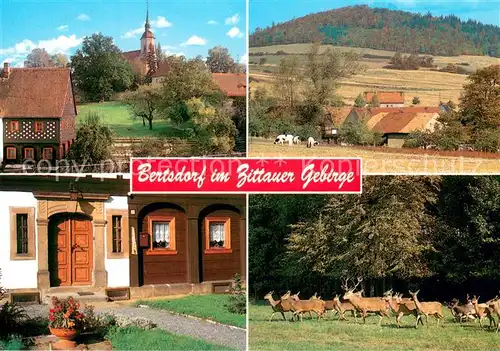 AK / Ansichtskarte Bertsdorf Hoernitz Kirchensemble Breiteberg Sandsteintuerstock Wildgehege Posselt 