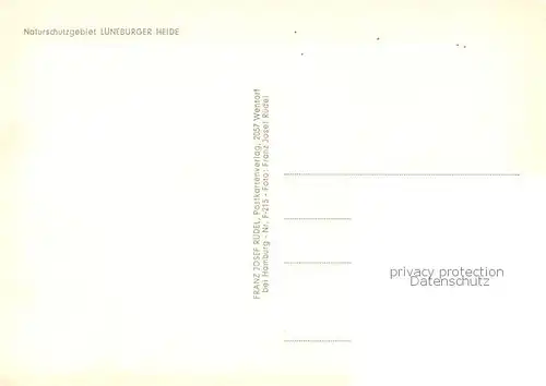 AK / Ansichtskarte Wilsede_Lueneburger_Heide Teilansichten Pferdewagen Wilsede_Lueneburger_Heide