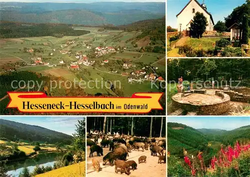 AK / Ansichtskarte Hesseneck Fliegeraufnahme Gasthaus Pension Drei Lilien mit Hallenbad Wildpark Panorama  Hesseneck