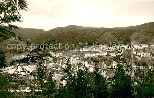 AK / Ansichtskarte Neidenfels_Pfalz Teilansicht Neidenfels Pfalz