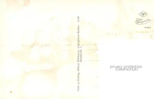 AK / Ansichtskarte Eschau_Unterfranken Teilansichten Eschau Unterfranken