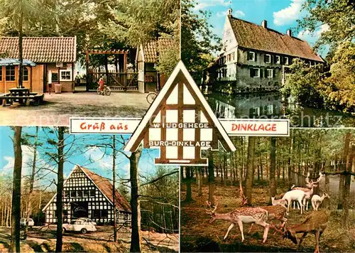 AK / Ansichtskarte Dinklage Wildgehege Burg Dinklage Dinklage