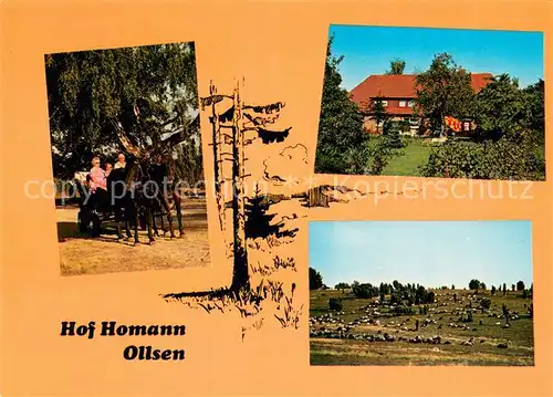 AK / Ansichtskarte Ollsen Hof Homann Privatpension Pferdekutsche Panorama Ollsen
