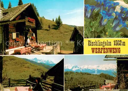 AK / Ansichtskarte Werfenweng Bischlingalm Panorama Werfenweng
