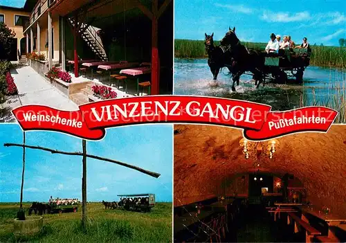 AK / Ansichtskarte Illmitz Weinschenke Vinzenz Gangl Pusstafahrten Illmitz