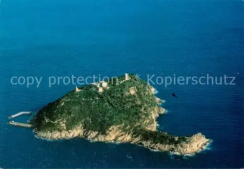 AK / Ansichtskarte Alassio_Liguria_IT Isola Gallinara Fliegeraufnahme 