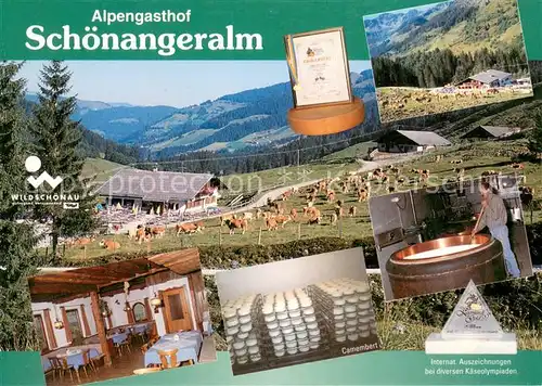 AK / Ansichtskarte Wildschoenau_Tirol Alpengasthof Schoenangeralm Gastraum Kaeserei Panorama Wildschoenau Tirol