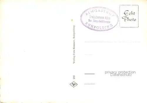 AK / Ansichtskarte Ruhpolding Steinberg Alm m. Rauschberg Ruhpolding