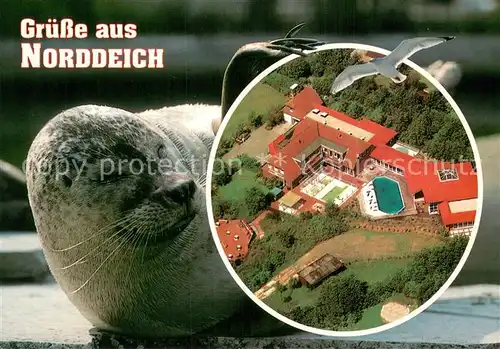 AK / Ansichtskarte Norddeich__Norden_Nordseebad Seehundaufzuchtstation Fliegeraufnahme 