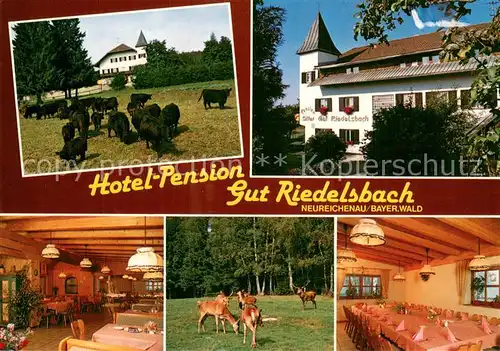 AK / Ansichtskarte Neureichenau Hotel Pension Gut Riedelsbach Wild Viehherde Neureichenau