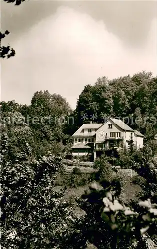 AK / Ansichtskarte Lindenfels_Odenwald Haus Luginsland Weinklause Buecherstube Fremdenheim Lindenfels Odenwald