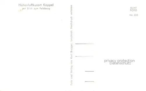 AK / Ansichtskarte Kappel_Lenzkirch Panorama mit Feldbergblick Kappel_Lenzkirch