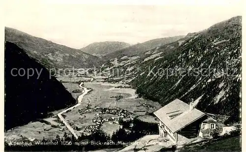 AK / Ansichtskarte Mayrhofen_Zillertal Alpenhaus Wiesenhof Mayrhofen_Zillertal