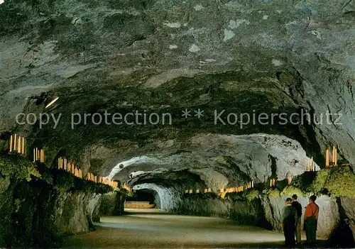 AK / Ansichtskarte Hinterbruehl_Niederoesterreich Seegrotte Hinterbruehl