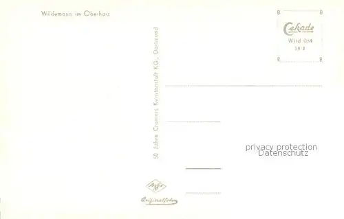 AK / Ansichtskarte Wildemann Oberharz Fliegeraufnahme Wildemann