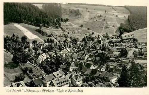 AK / Ansichtskarte Wildemann Blick vom Huettenberg Wildemann