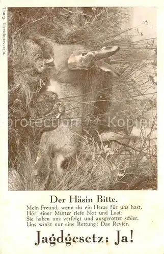 AK / Ansichtskarte Hasen Jagdgesetr Der Haesin Bitte 