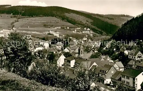 AK / Ansichtskarte Willingen_Sauerland Panorama Willingen_Sauerland